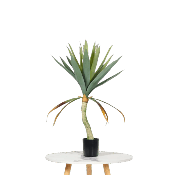 Agave Essence Faux Potted Plant